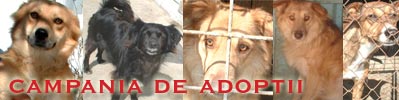 campania de adoptii